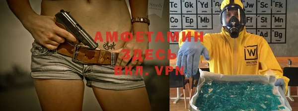 mdpv Вяземский