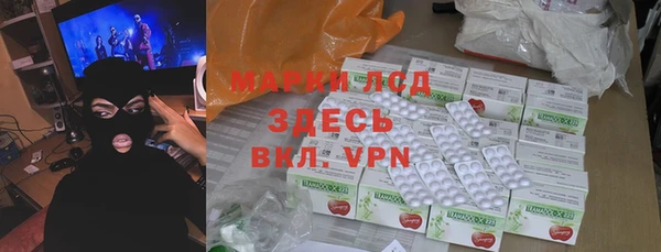 mdpv Вяземский