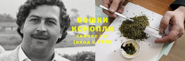 mdpv Вяземский