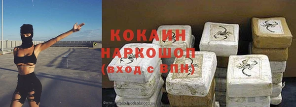 индика Вязники