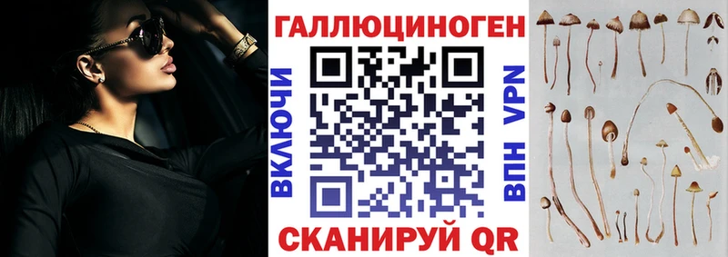 даркнет сайт  Еманжелинск  kraken ONION  Галлюциногенные грибы Cubensis 